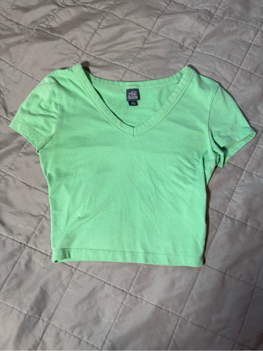Wild Fable Crop Top